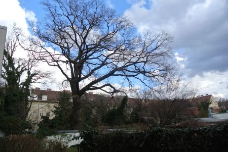 Coole U3 Anbindung, nur 5 Min.mentfernt, Genießen Sie die Ruhe in Ihrem Garten. - Photo 3