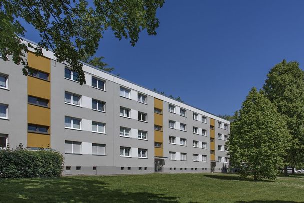 kurzfristig verfügbar - 3 Zimmer-Wohnung in Dortmund Scharnhorst - Photo 1