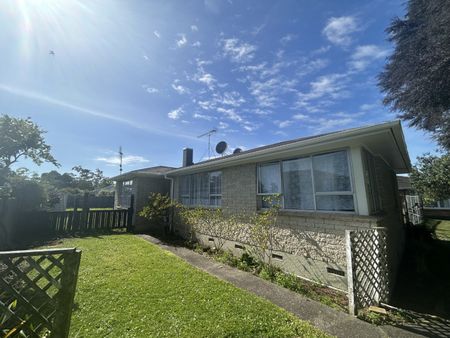 Fully Fenced Family Gem - Huntly - Photo 3