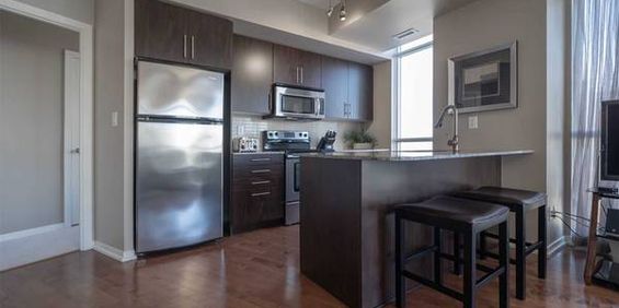 65 BREMNER BLVD - MAPLE LEAF SQUARE - FURNISHED 2 BEDROOM W/PARKING (V - Photo 3