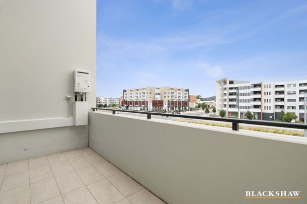 90/235 Flemington Road, Franklin ACT 2913 - Apartment For Rent | Domain - Photo 1