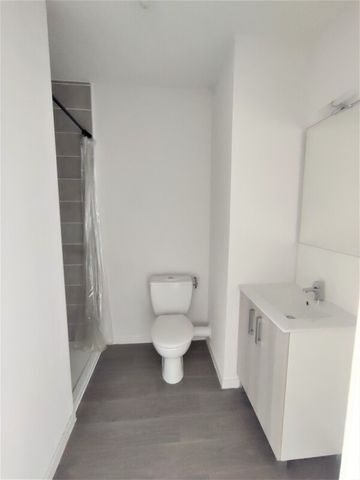 Location Appartement 1 pièce 19m² AUZEVILLE TOLOSANE 31320 - Photo 3