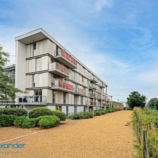 Chadwell Lane, London, N8 - Photo 1