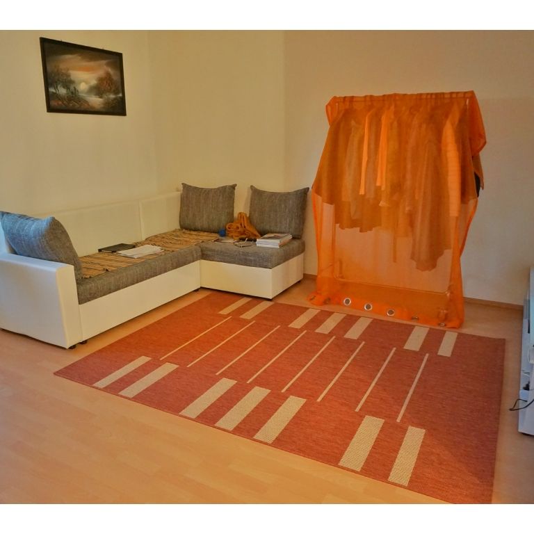 - 1 Raumwohnung in Radebeul - Photo 1