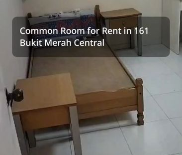 3-Room HDB for Room Rent: 161 Bukit Merah Central - Photo 1