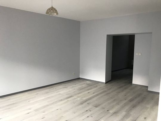 Location appartement 1 pièce 41.36 m² à Vienne (38200) - Photo 1