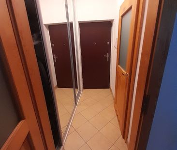 Wrocław, Stare Miasto - Photo 5