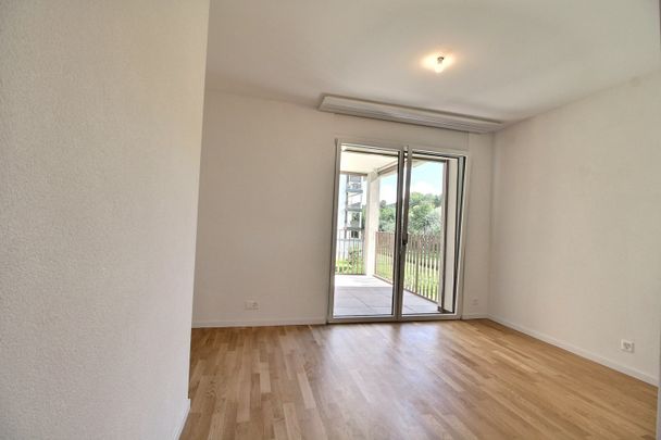 Maginifique 4.5 pièces avec vue sur la Gérine ! - Photo 1
