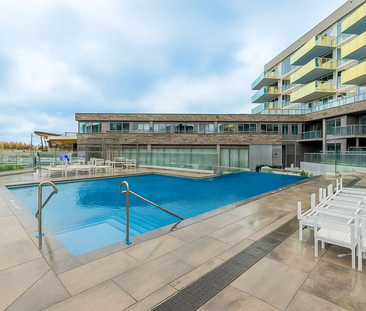 For Lease - 333 Sunseeker Avenue Unit# 236, Innisfil, Ontario - Photo 4