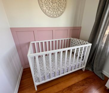 604b Elm Road, Akina - Photo 5