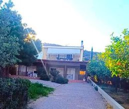 Μονοκατοικία για ενοικίαση - Καλύβια Θορικού, - Photo 5