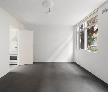 2/20 Alexandra Road, Glebe NSW 2037 - Studio For Rent | Domain - Photo 3