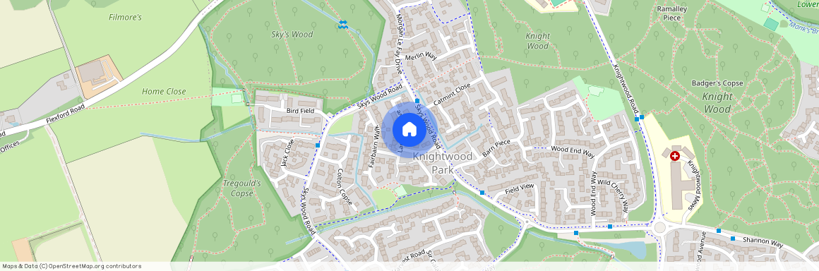 Larkspur Drive, Chandlers Ford SO53