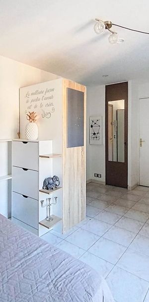 Location Appartement 1 pièce 19m² NICE 06100 - Photo 1