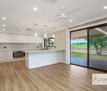 Entertainer’s Dream!! - Photo 3