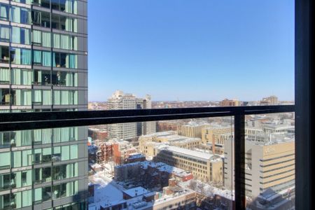 Condo for rent, Montréal (Ville-Marie) - Photo 2