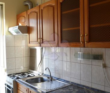 Spacious flat close to Kassai Campus - Fotó 4