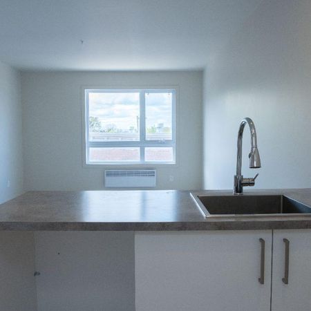 Logement spacieux et lumineux - Photo 4
