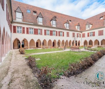 Appartement - SELESTAT - 52m² - 1 chambre - Photo 1