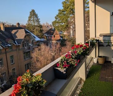 APPARTEMENT 31/2 PIÈCES À BERNE - BREITENRAIN, MEUBLÉ, TEMPORAIRE - Foto 5