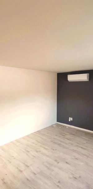 LIBRE 3 1/2 a louer Tranquille dans un triplex Cour Privé Table et BBQ Grande pièces ensoleiller, NOUVEAU: SALLE DE BAIN/PLANCHER/PEINTURE + A/C.++ - Photo 1