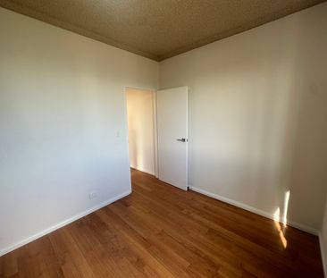 Freshly Updated 2 Bedroom Apartment in Prime Arncliffe Location! - Photo 4