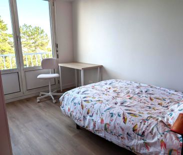 Location Appartement 1 pièce 9m² TOURS 37000 - Photo 6