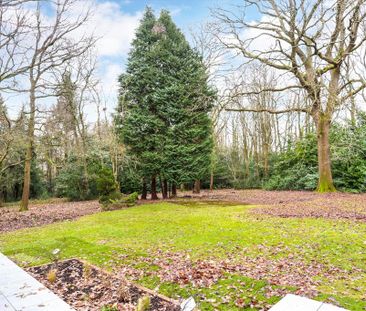 4 bedroom detached house to rent - Photo 3