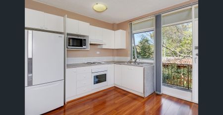 Bright and airy apartment with leafy outlook - Photo 5