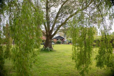 1 bedroom bungalow to rent - Photo 3