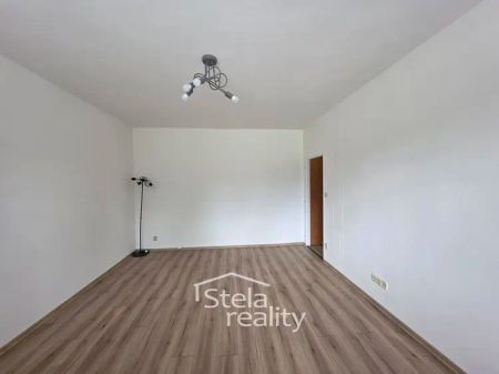Pronájem bytu 2+1 s lodžií, 55 m - Fotografie 2
