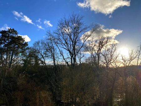 Magnifique maisons neuve à Versoix - Photo 3