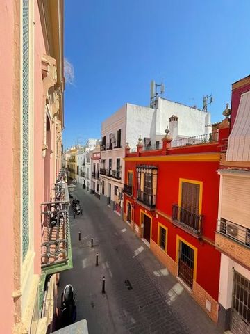 Calle San Luis, Sevilla, Andalusia 41003 - Photo 3