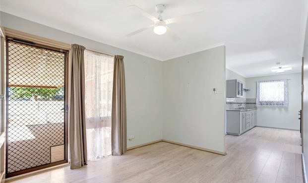 Neat and Tidy - Photo 1