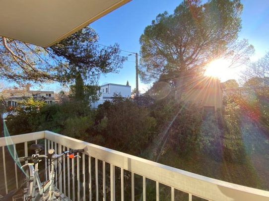 Location appartement 4 pièces 77.07 m² à Montpellier (34000) - Photo 1