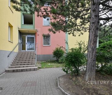 Pronájem bytu 2+kk 49 m² - Photo 3