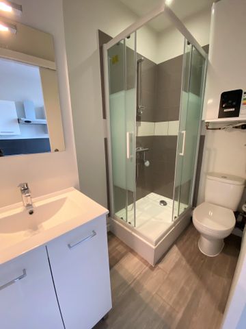 studio Pelissier/Répblique 22 m2 - Photo 5