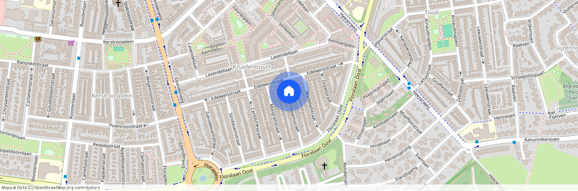 Kruidenbuurt, 5643 HM, Korenbloemstraat, Eindhoven