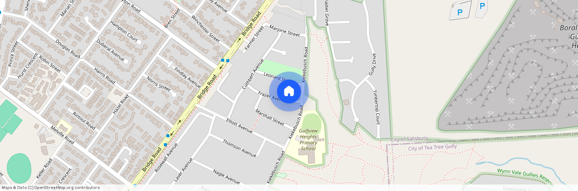 16 Frazer Avenue, SA 5096, Gulfview Heights