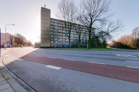 Loudonstraat 247 - Foto 4