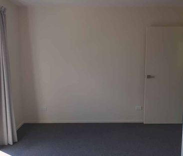 Warm, new 3brm home in Broadbay - pet friendly! - Photo 4