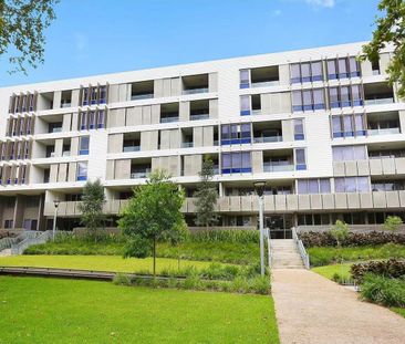 Great 2 Bed For Lease at Zetland - Photo 5