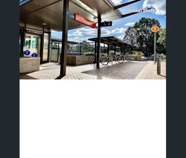 Cozy Convenient Four-Bedroom Full-Brick Home With Granny Flat in So... - Photo 4