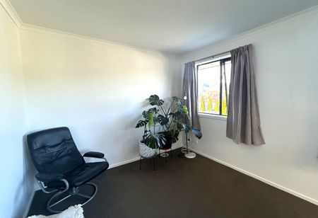 43b St Lawrence Street, Toi Toi, Nelson - Photo 4