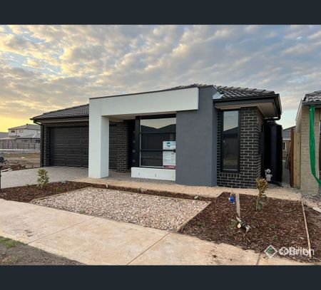 12 Nebula Court, Fraser Rise, Vic 3336 - Photo 4