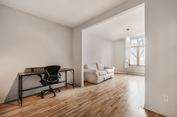 Appartement à louer - Montréal (Le Plateau-Mont-Royal) (Le Plateau-Mont-Royal) - Photo 1