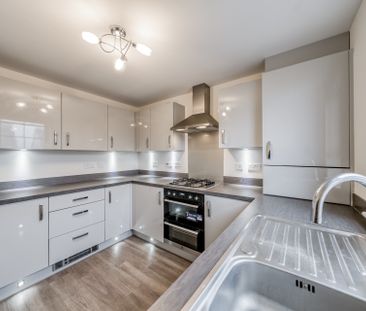 Lady Glen Place - Photo 2