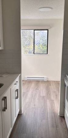 1-Bedroom Fully Renovated close to SkyTrain (Lougheed) - Photo 1