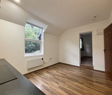 Flat 5, Arboretum Road, WS1, Property for rent - Photo 1