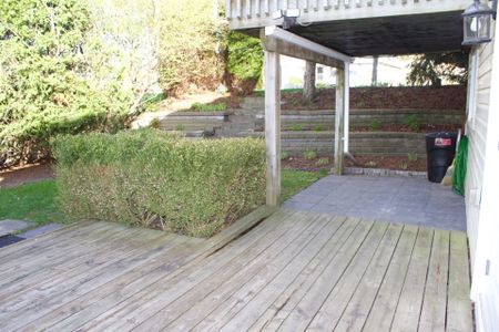 For Lease - 33 ANDERSON Street Unit# Lower, Woodstock, Ontario - Photo 5
